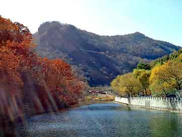 新澳天天开奖资料大全旅游团，供应木粉